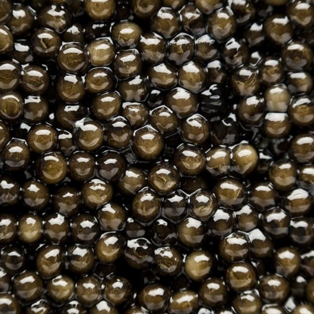 Caviar STURIA Vintage 50g